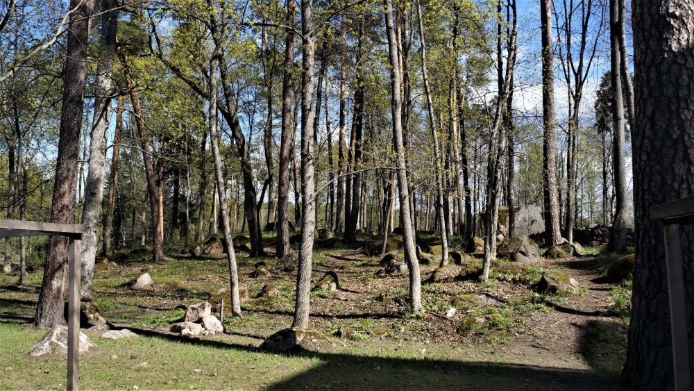 19.05.14_288_Выборг_парк Монрепо.JPG