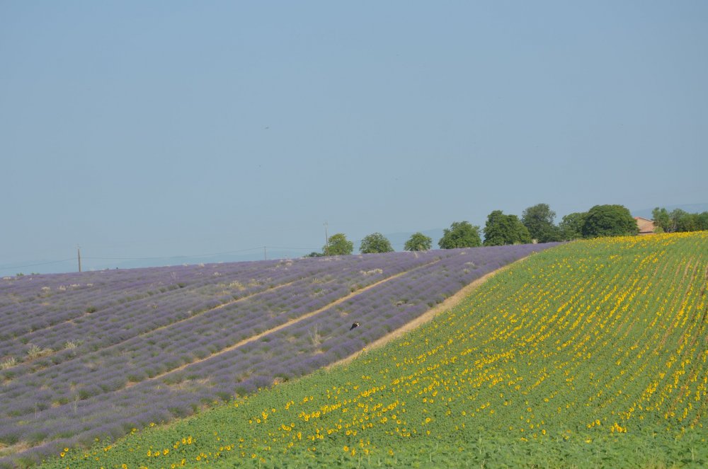 Тур  2AS  2019г. часть 4 009.JPG