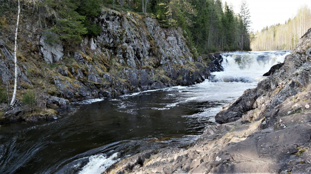 19.05.11_049_Карелия_водопад Кивач.JPG