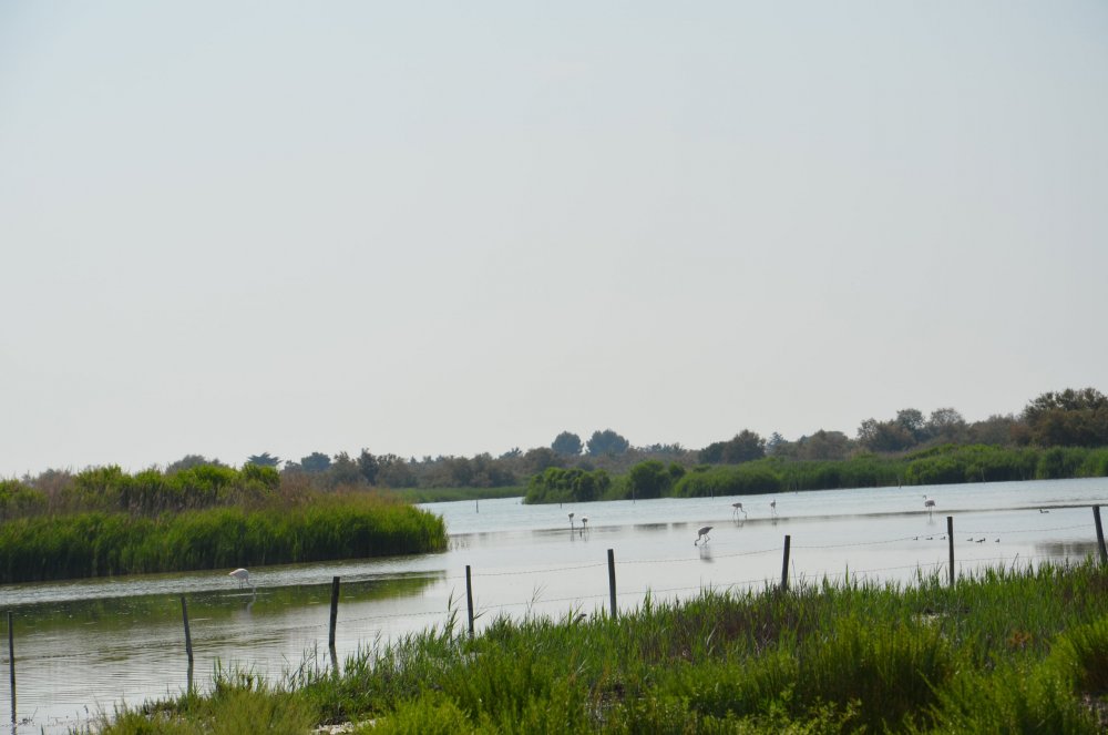 2AS  2019 г. часть 3 516.JPG