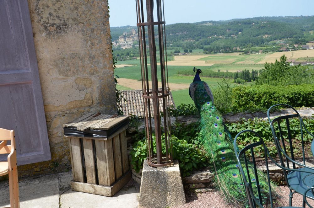 Тур 2AS 2019  часть 1 783.JPG