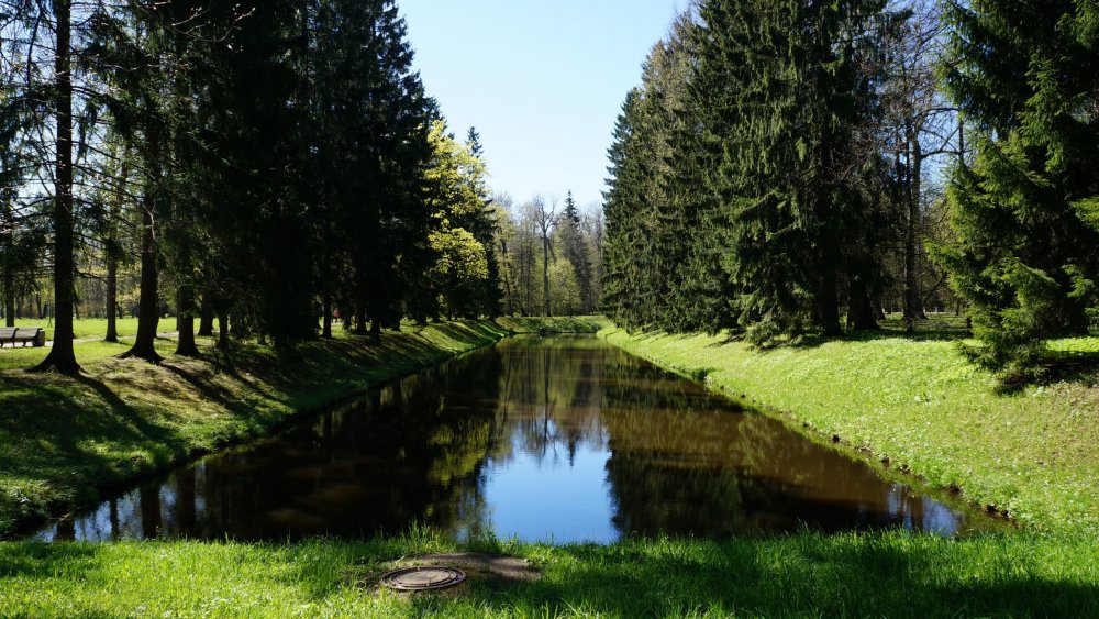 19.05.15_069_ Ораниенбаум.JPG