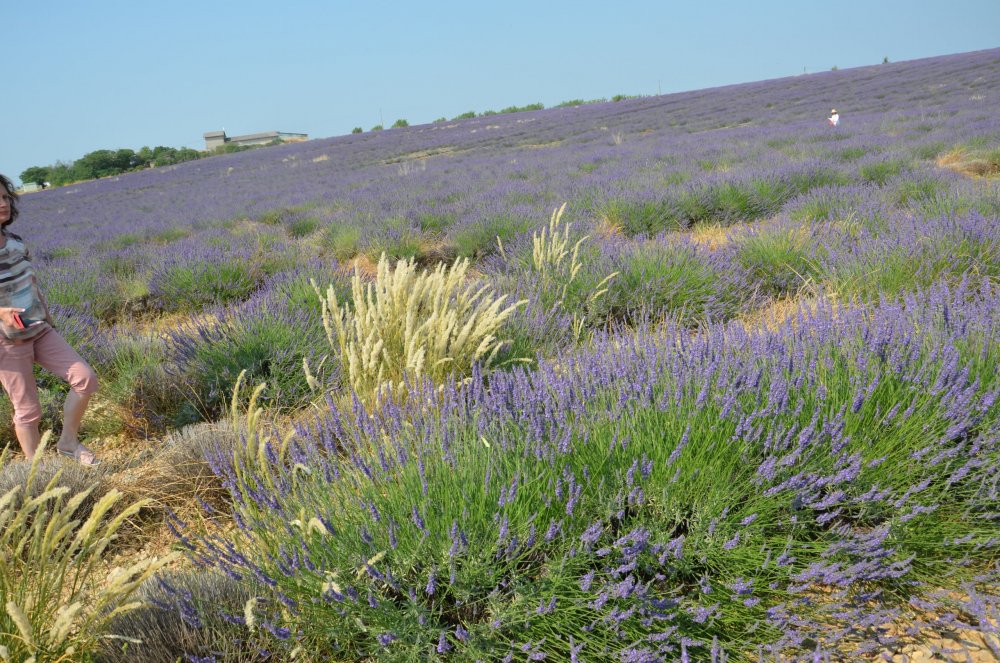 Тур  2AS  2019г. часть 4 034.JPG