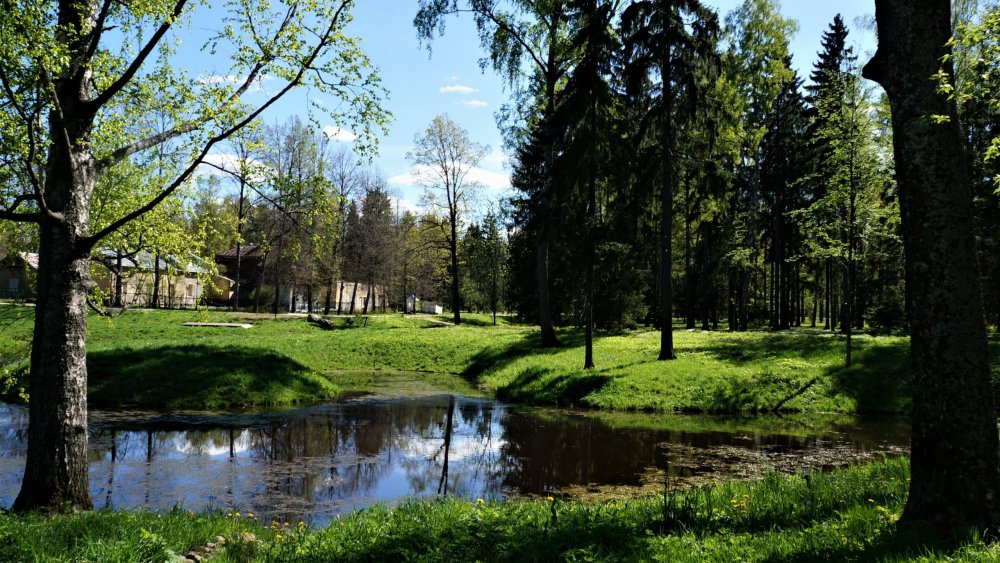 19.05.15_298_ Ораниенбаум.JPG