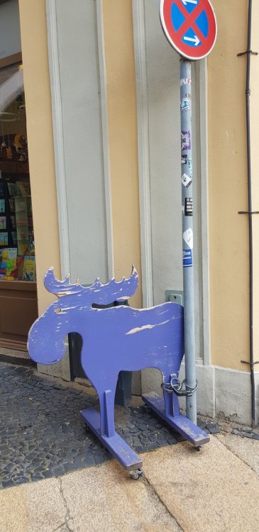 20190702_114122.jpg