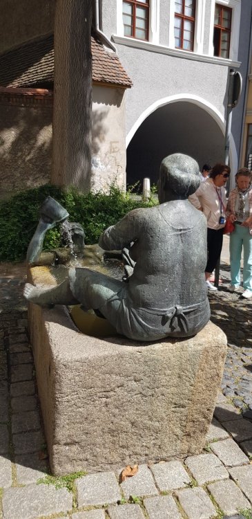 20190702_114220.jpg