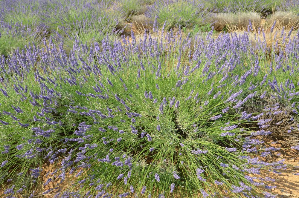 Тур  2AS  2019г. часть 4 031.JPG