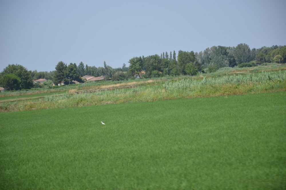 2AS  2019 г. часть 3 434.JPG