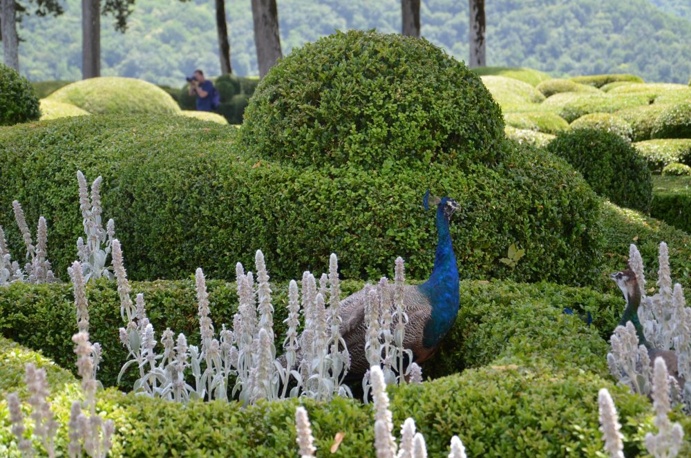 Тур 2AS 2019  часть 1 774.JPG