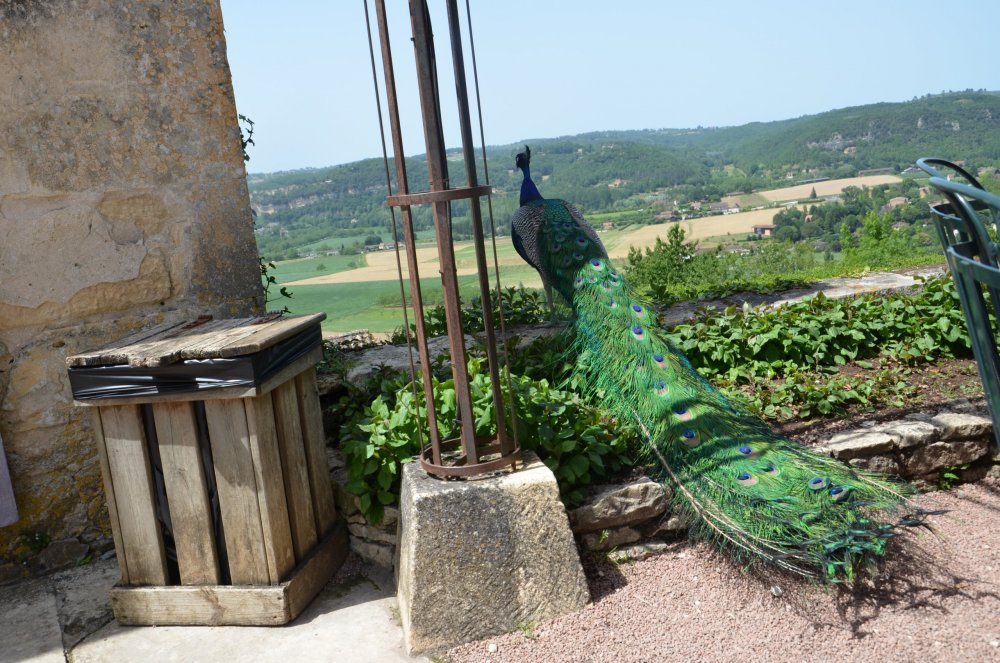 Тур 2AS 2019  часть 1 784.JPG