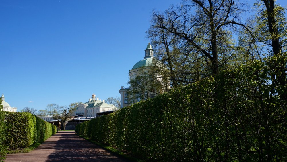 19.05.15_433_ Ораниенбаум.JPG