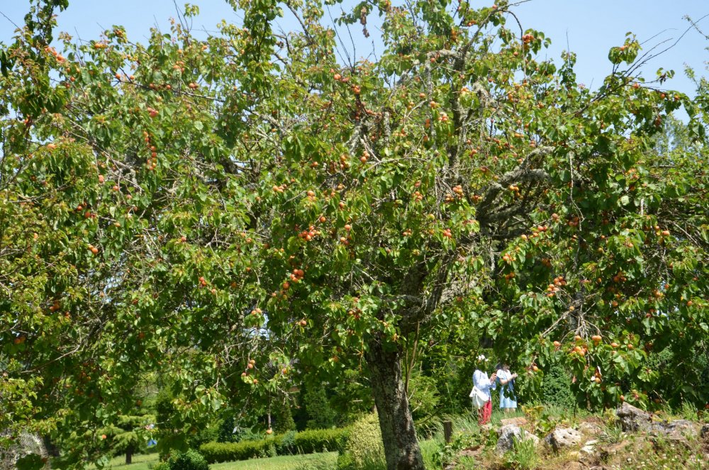 Тур 2AS 2019  часть 1 700.JPG