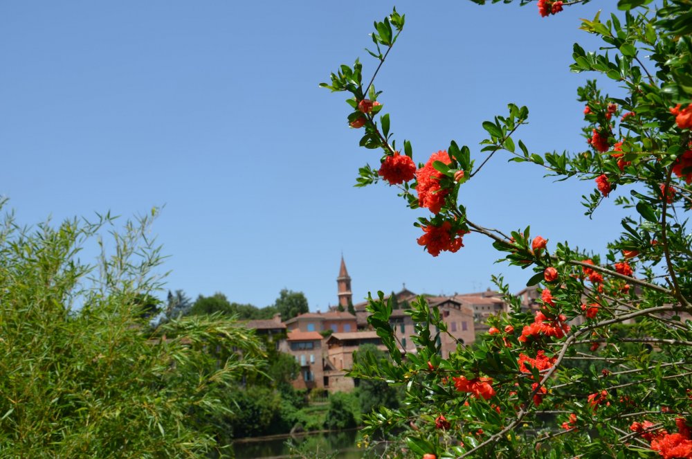 2 AS  2019г. часть 2 192.JPG