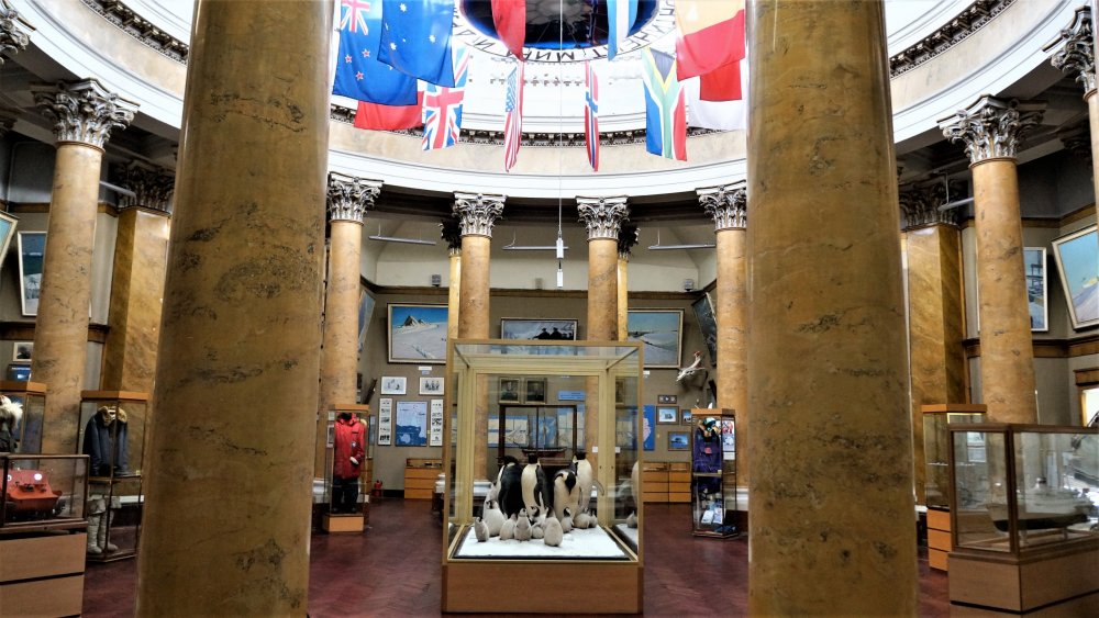 19.05.10_046_ СПб_ Музей Арктики и Антарктики.JPG