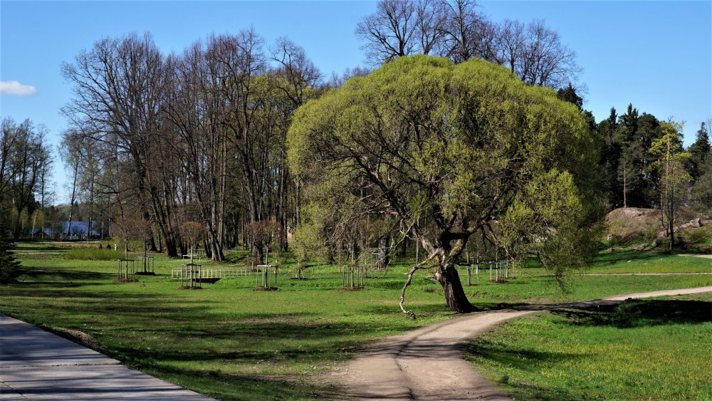 19.05.14_292_Выборг_парк Монрепо.JPG