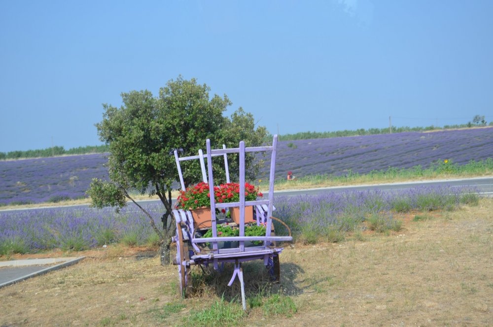 Тур  2AS  2019г. часть 4 007.JPG