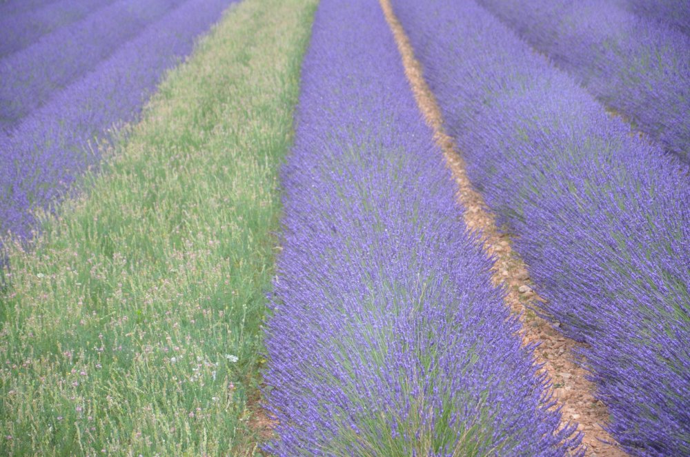 Тур  2AS  2019г. часть 4 127.JPG