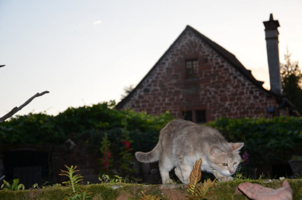 Тур 2AS 2019  часть 1 461.JPG