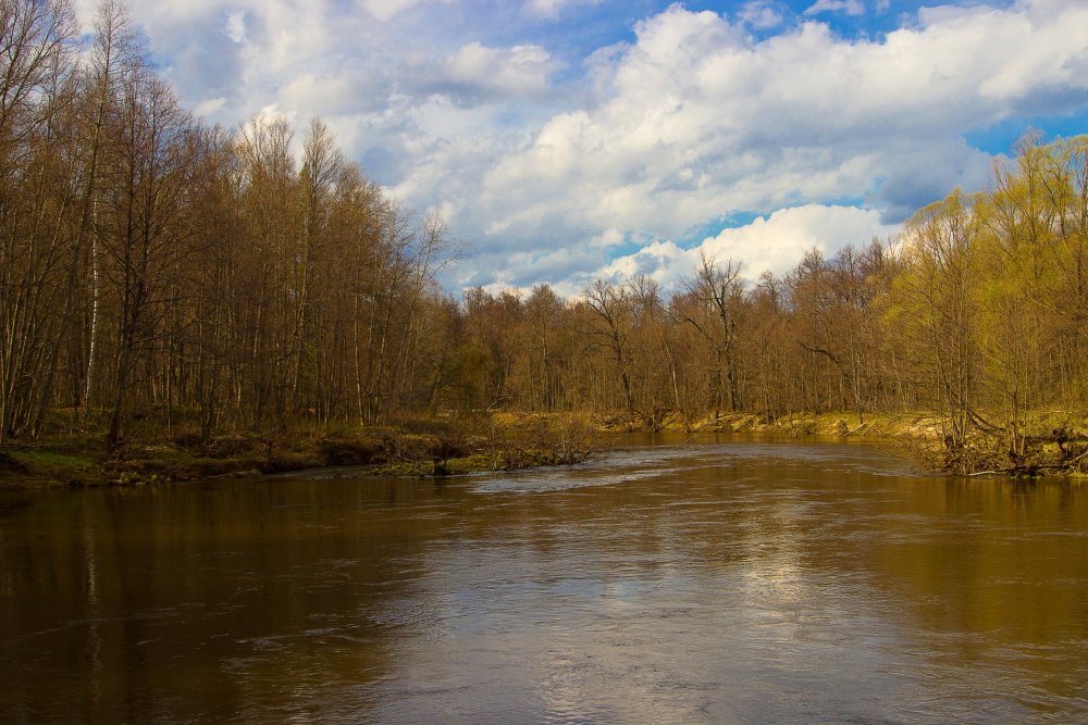 IMG_7037-1 Марий Чодра Река Илеть.jpg