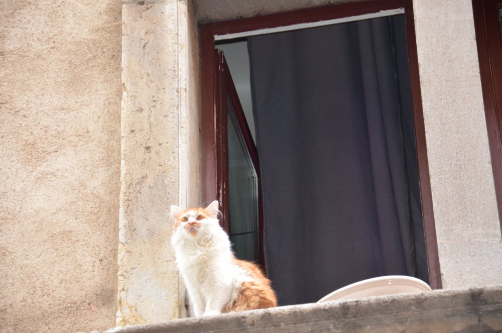 Тур 2AS 2019  часть 1 190.JPG