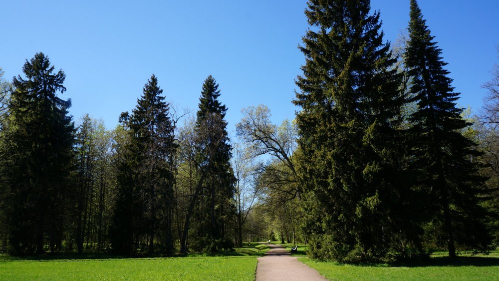 19.05.15_247_ Ораниенбаум.JPG