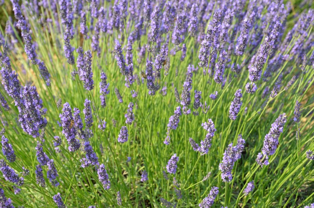 Тур  2AS  2019г. часть 4 039.JPG