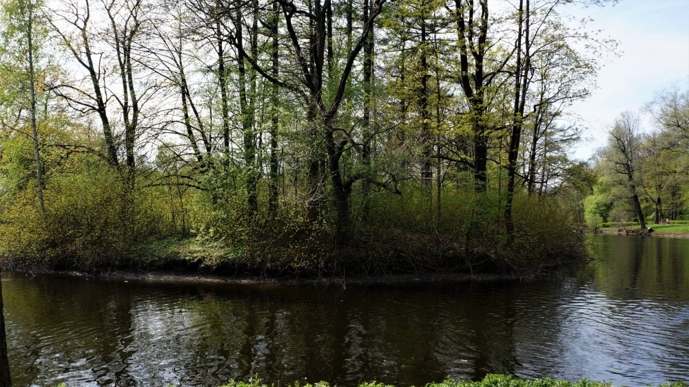 19.05.10_167_СПб_Елагин остров.JPG