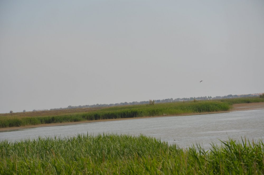 2AS  2019 г. часть 3 447.JPG