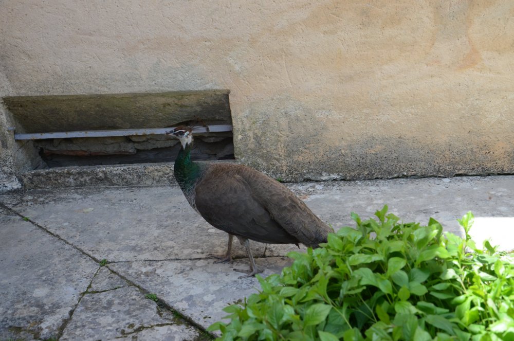 Тур 2AS 2019  часть 1 754.JPG