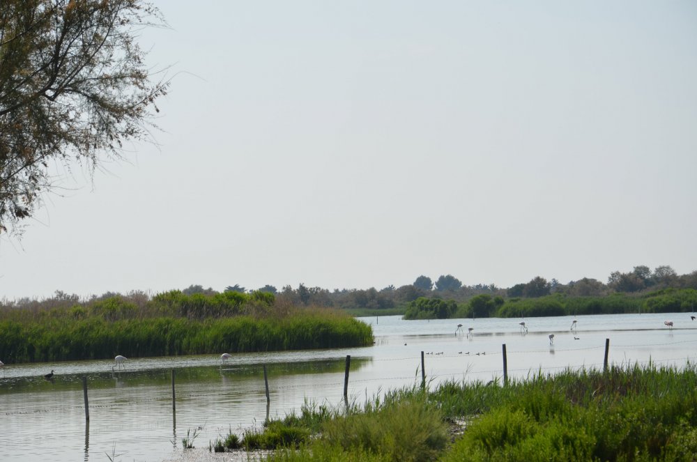 2AS  2019 г. часть 3 512.JPG