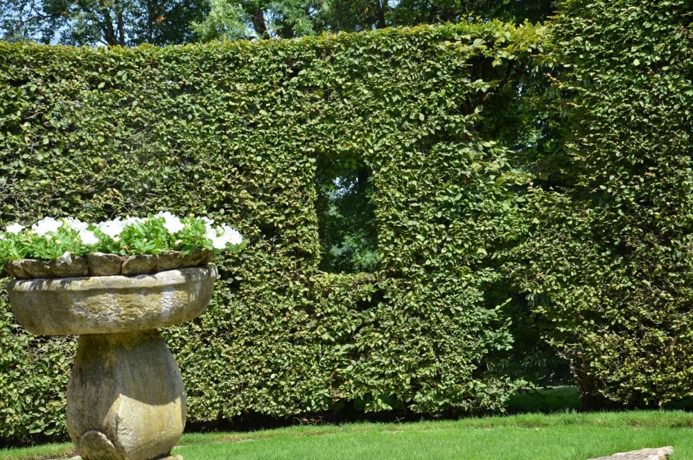 Тур 2AS 2019  часть 1 656.JPG