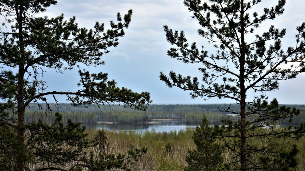 19.05.11_096_Карелия_гора Сампо вид на озеро Кончезеро.JPG