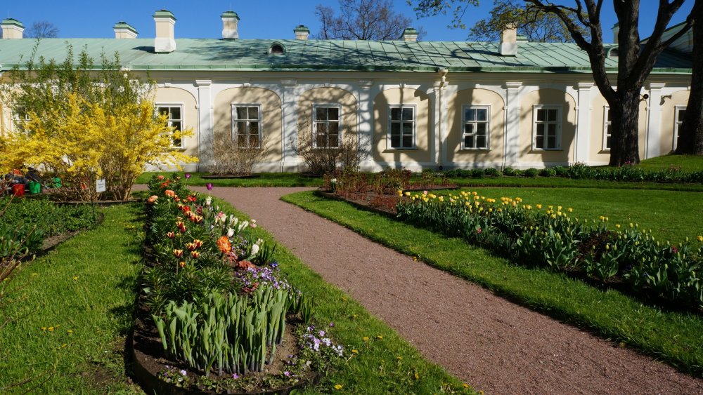 19.05.15_404_ Ораниенбаум.JPG