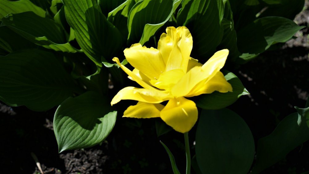 19.05.16_088_СПб_ Зоопарк.JPG