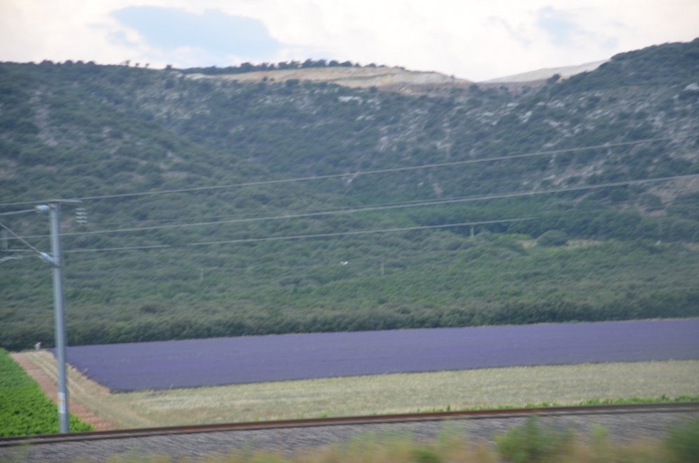 2AS  2019 г. часть 3 1018.JPG