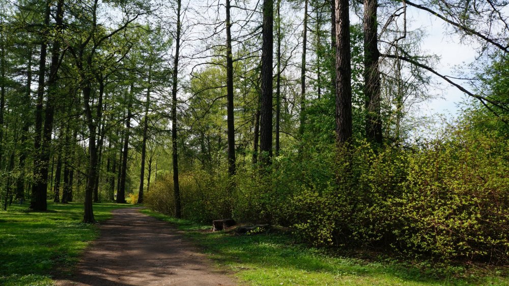 19.05.10_222_СПб_Елагин остров.JPG