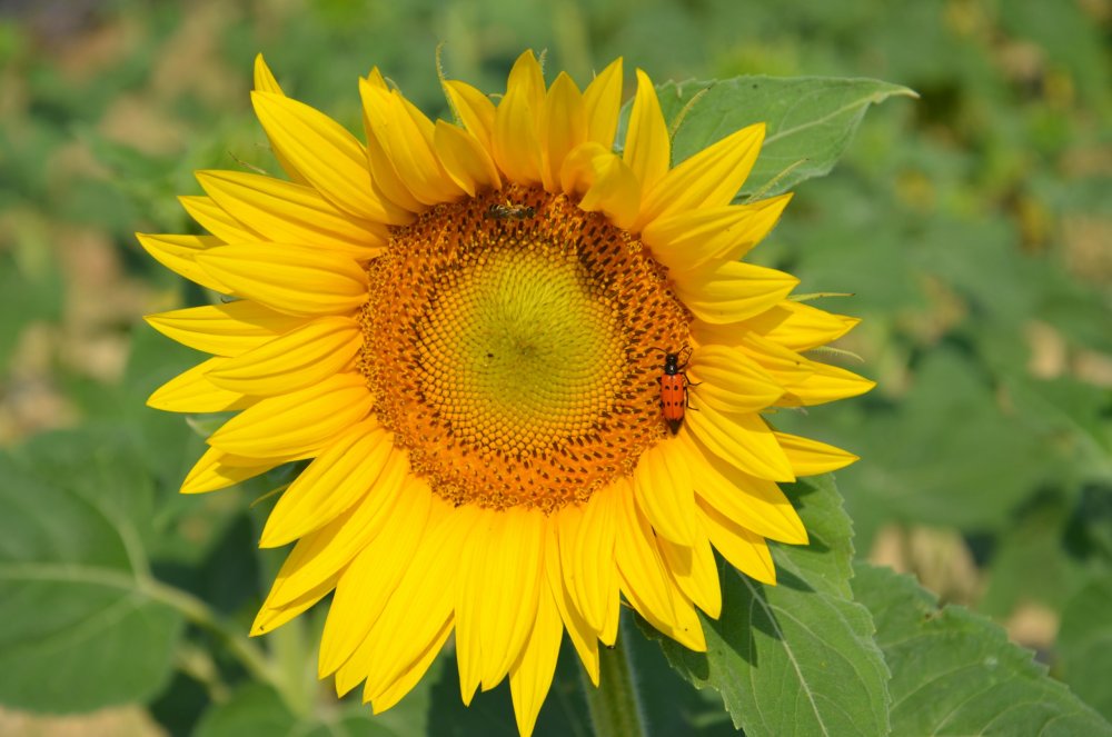 Тур  2AS  2019г. часть 4 043.JPG