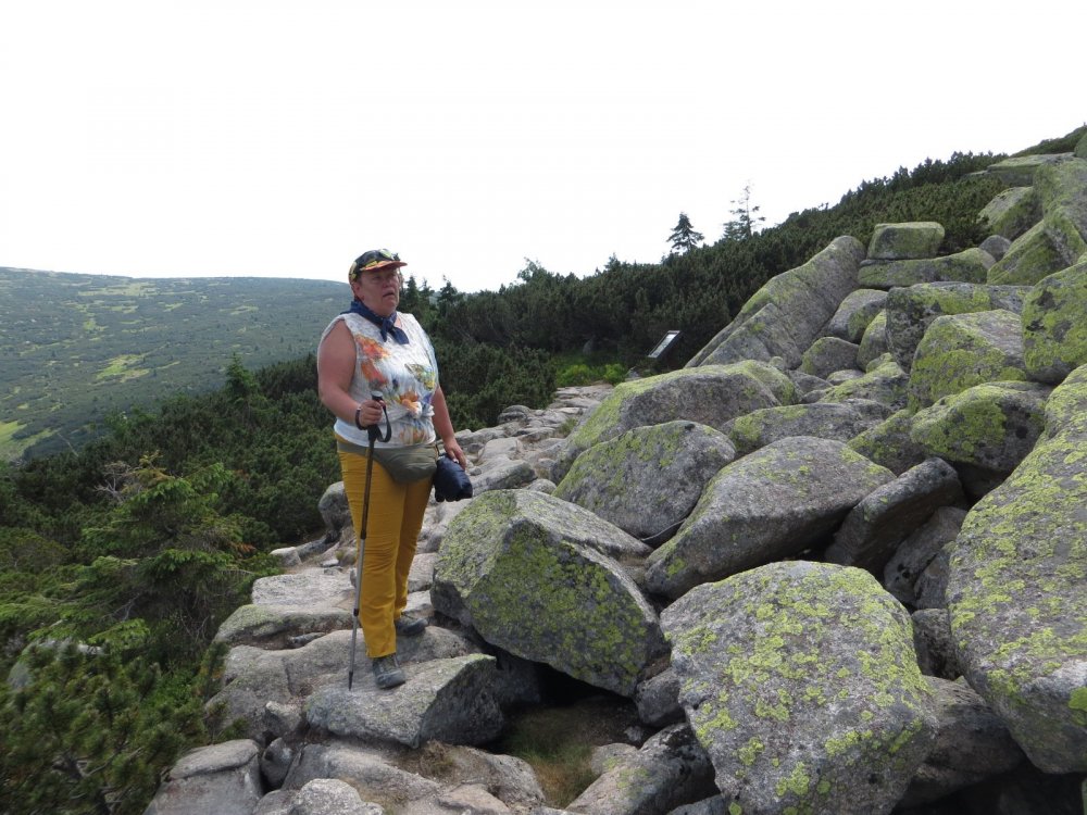 IMG_8659 — копия.JPG