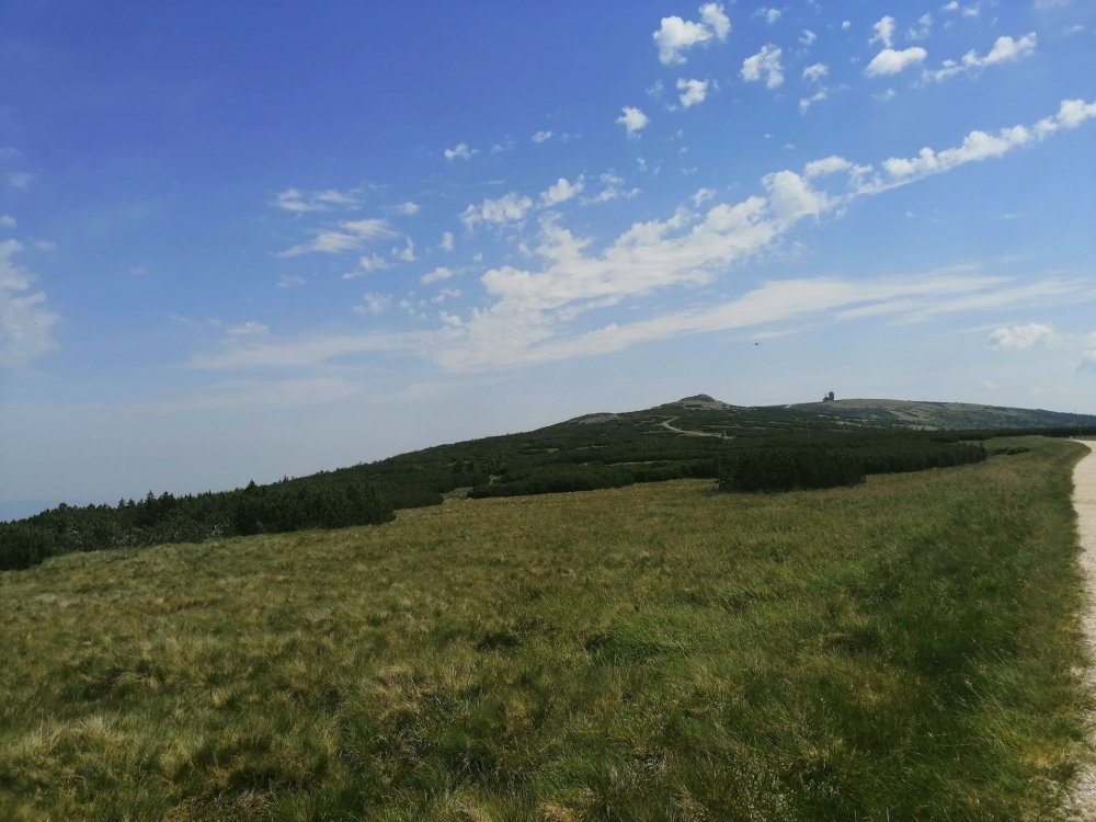 IMG_20190701_120809-001 — копия.jpg