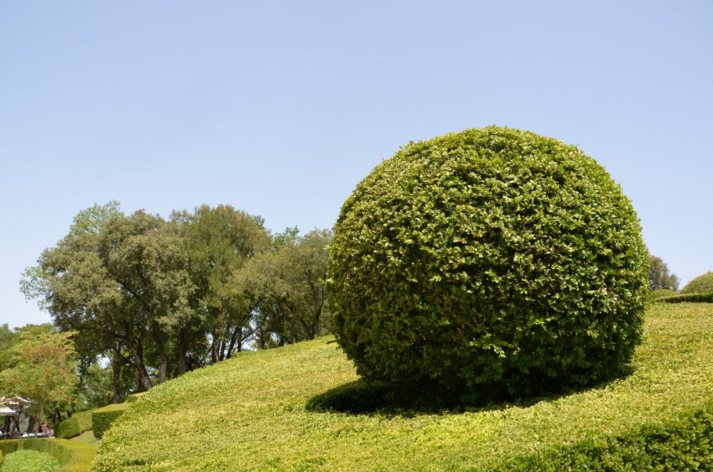 Тур 2AS 2019  часть 1 772.JPG