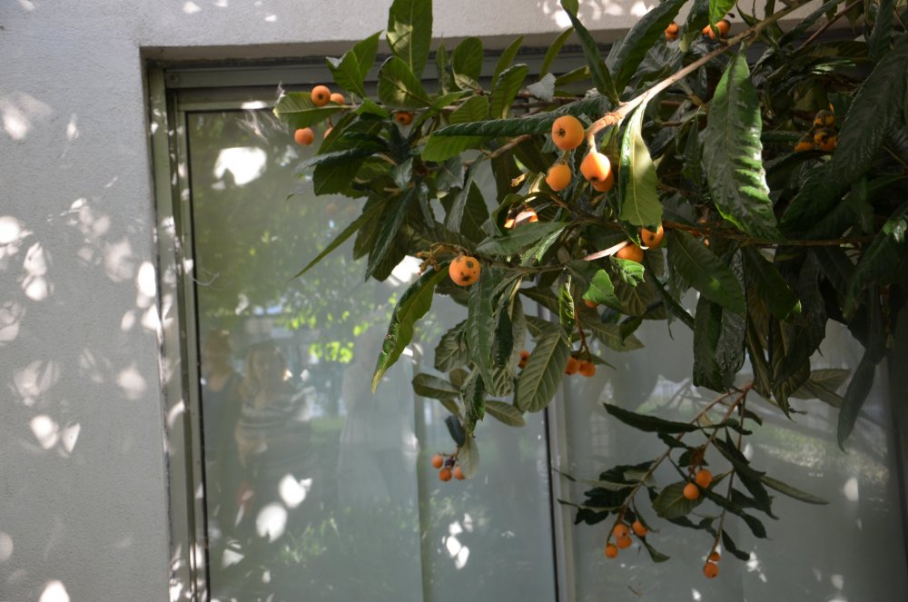 2AS  2019 г. часть 3 1040.JPG