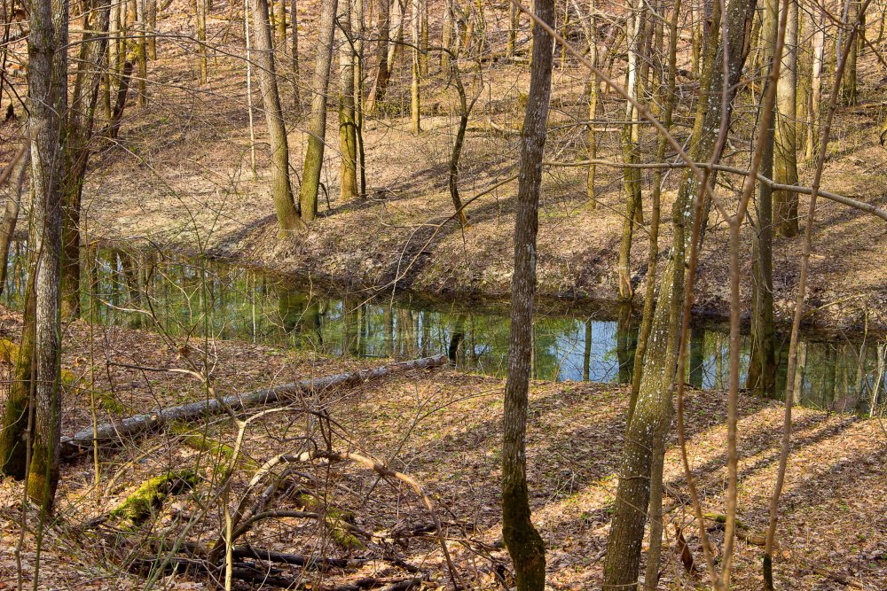 IMG_6997-1 Марий Чодра.jpg