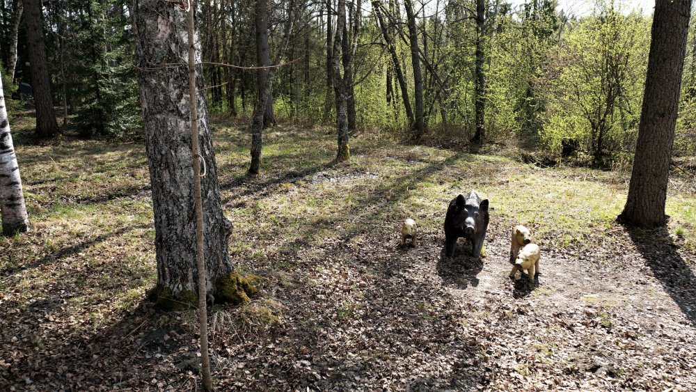 19.05.11_065_Карелия_водопад Кивач.JPG