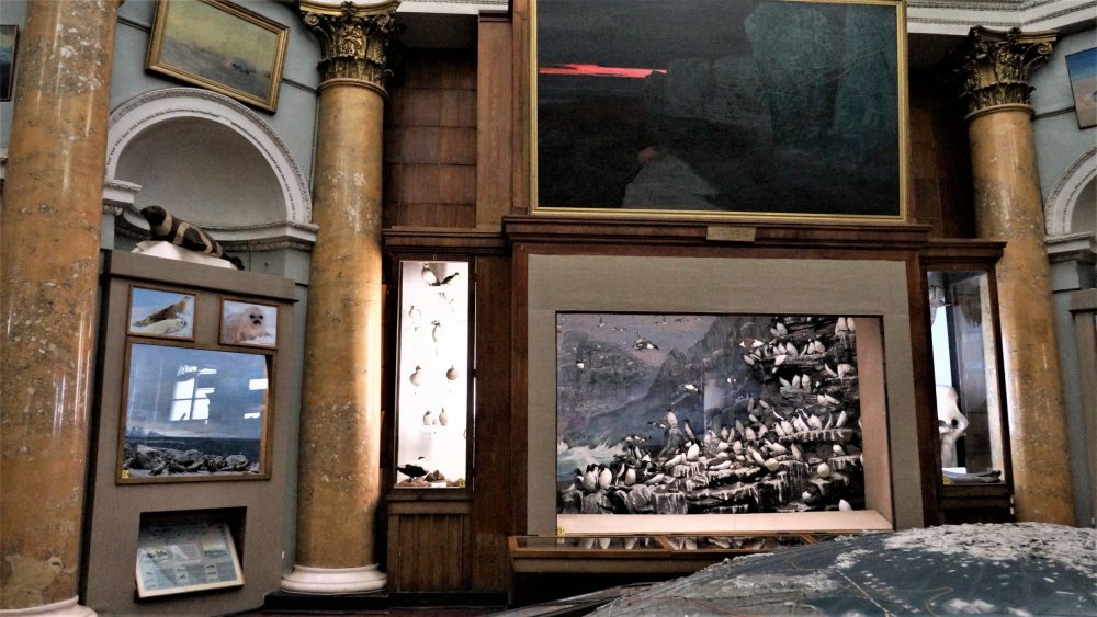 19.05.10_026_ СПб_ Музей Арктики и Антарктики.JPG