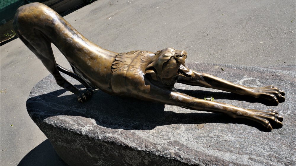 19.05.16_018_СПб_ Зоопарк.JPG