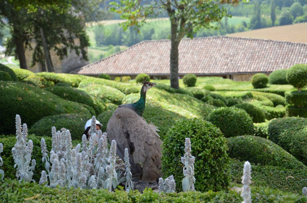 Тур 2AS 2019  часть 1 781.JPG