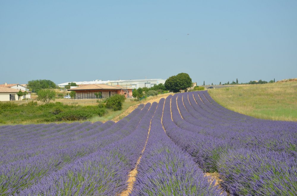 Тур  2AS  2019г. часть 4 109.JPG