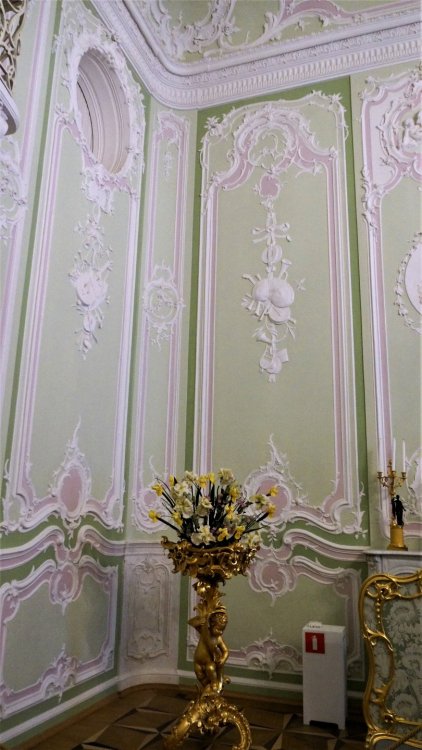 19.05.15_165_ Ораниенбаум_ Дворец.JPG