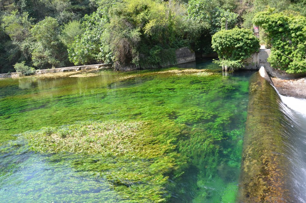 2AS  2019 г. часть 3 742.JPG