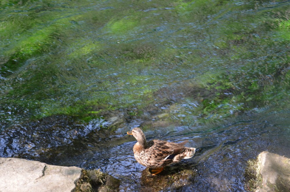 2AS  2019 г. часть 3 756.JPG